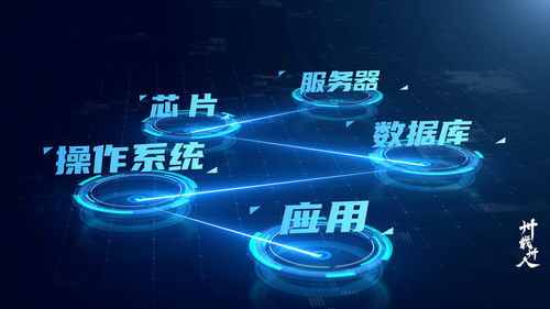 東吳證券信息技術(shù)總部 業(yè)技融合，開啟數(shù)字化加速度——卅載卅人第6期數(shù)字技術(shù)服務(wù)篇
